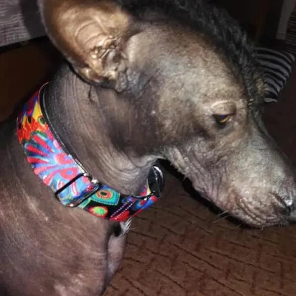 Hand-made Personalized Fabric Super Strong Reefs Dog Collar Adjustables Martingale Collar Tear Resistant for Small Large Dog