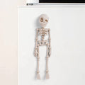 Magnetic Poseable Skull Fridge Magnet Funny Halloween Gift Kitchen Dining Decor Home Accessory Quirky Decor Spooky Novelty